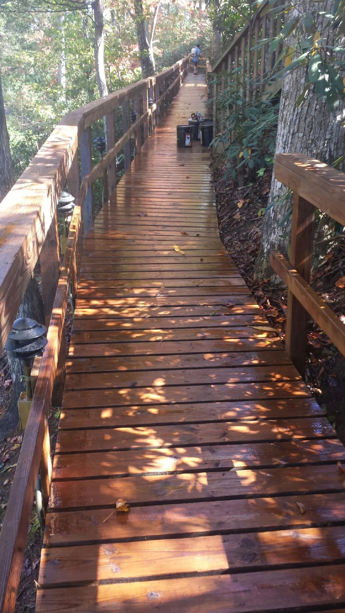 Freshly stained wood walkway winding through the woods in Lehigh Acres